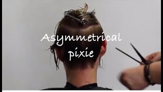 Asymmetrical Pixie Haircut Tutorial How to cut a pixie [upl. by Yrtneg]