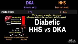 Hyperosmolar Hyperglycemic State Diabetic HHS vs DKA Animation [upl. by Ojyllek917]