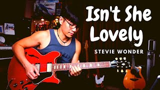 Stevie Wonder  Isnt She Lovely  guitar cover [upl. by Renado]