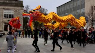 Dragon Dance for Chinese New Year 2020 [upl. by Nolham915]