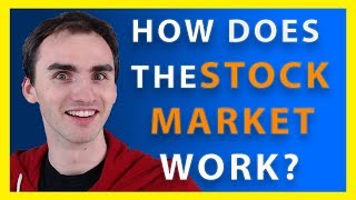 How Does The Stock Market Work  Stock Market Basics [upl. by Siubhan]