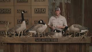 DSD Giant Decoys  Product Highlights [upl. by Rufe]