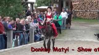 Donkey Riding Belly Dance Show [upl. by Anifur]