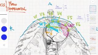 ECG Derivaciones y caras  3 Plano horizontal [upl. by Eldred]