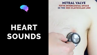 Heart murmur sounds cardiac auscultation sounds  UKMLA  CPSA  PLAB 2 [upl. by Nilat504]