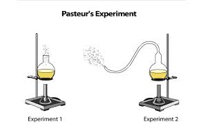 Pasteurs Experiment [upl. by Aehta103]