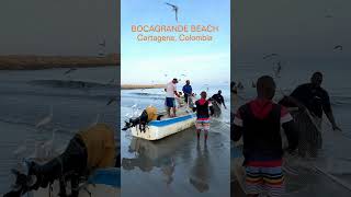 BocaGrande Beach Cartagena cartagenacolombia [upl. by Hurlee]