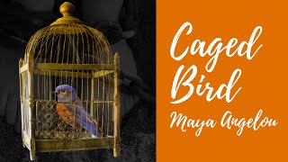 ANALYSIS Caged Bird🦜  By Maya Angelou Poem [upl. by Kalli]