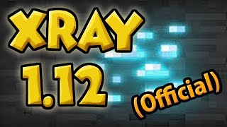 How to Install Xray for 1121 Official  Installation amp usage Tutorial  xray resourcepack 112 [upl. by Ycak377]