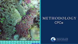 Methodology CPCe BenthicSeafloor [upl. by Elle683]