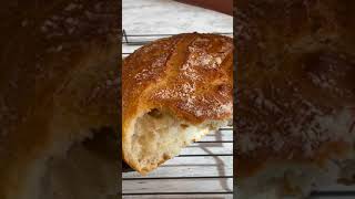 Perfectly Crusty NoKnead Bread [upl. by Airekal]