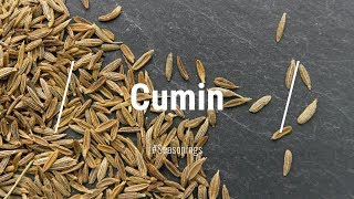 🔵 All About Cumin Spice [upl. by Ahsimat320]