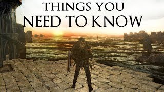 Dark Souls 2 New Mechanics you NEED to know [upl. by Gambrell]