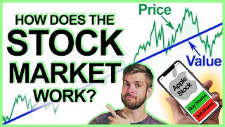 How stocks work explained simply [upl. by Matelda]