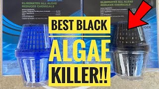 Black Algae in pool treatment that WORKS [upl. by Llewoh]