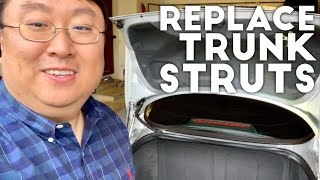 How to Replace Trunk Struts [upl. by Ahsam965]