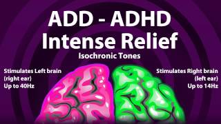 The Neuroscience of the ADHD Brain [upl. by Sihonn439]