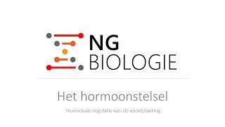 Het hormoonstelsel  hormonale regulatie van de voortplanting  HAVOVWO [upl. by Iam51]