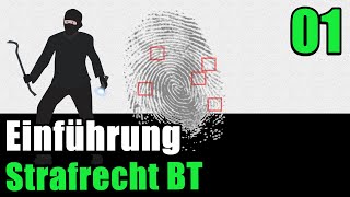 Strafrecht BT 01  Einführung [upl. by Jea]