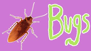 Bad Bugs  Insect Pests for Kids [upl. by Landis]