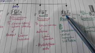 Variant of Prostaglandin with uses [upl. by Blessington]