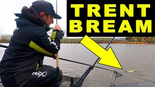 BRILLIANT Bream Fishing on the Trent  River Feeder Fishing [upl. by Renita]