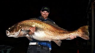 458kg Jewfish Silver mulloway Yes you read that correctly [upl. by Llireva]