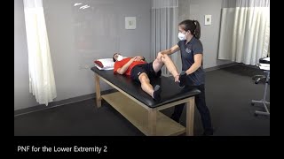 PNF Proprioceptive Neuromuscular Facilitation for the Lower Extremity [upl. by Weider]