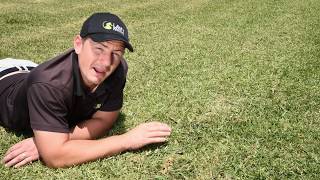 How to remove invading grass varieties from your lawn [upl. by Isbel]