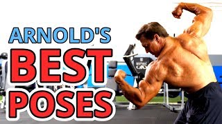 Arnolds BEST Bodybuilding Poses feat John Hansen Perfect Physique [upl. by Ahsieat]