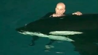 Caught on tape Whale nearly drowns SeaWorld trainer [upl. by Erdnoid]