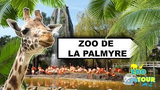 ZOOTOUR 7 Visite du Zoo de la Palmyre [upl. by Tnelc790]