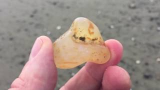 Agate Hunting and Identification at Ocean Shores WA [upl. by Elleoj]