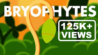 Bryophytes Class 11  Life Cycle of Bryophytes ANIMATION  Plant Kingdom Class 11  NEET [upl. by Iatnwahs]