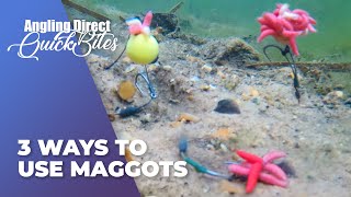 AD Quickbite – 3 Ways To Use Maggots [upl. by Giselle]