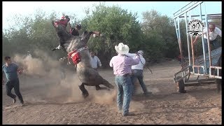 Carreras de Caballos en la Fabrica de Los Angeles [upl. by Arted90]