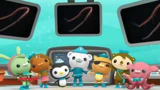 Octonauts Saison 3  Episode 1 [upl. by Einnalem132]