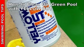 How to Clean a Green Pool Updated Version  Using YELLOW OUT [upl. by Lesli824]