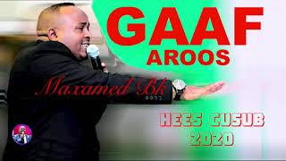 Maxamed Bk  GAAF AROOS  Hees Cusub 2020 [upl. by Aioj546]