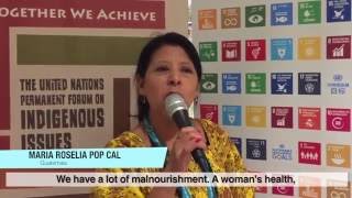 Indigenous Peoples and the Sustainable Development Goals [upl. by Baiss]