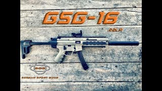 Review  GSG16 MP5 Clone in 22LR [upl. by Fortunio]