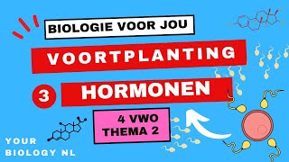 4 vwo  Voortplanting  3  Hormonen [upl. by Leitao]