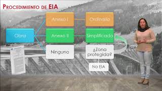 Procedimientos administrativos de la EIA  424  UPV [upl. by Norty216]