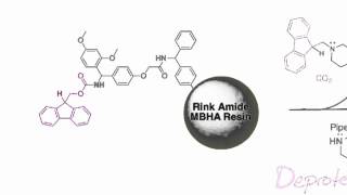 Fmoc Solid Phase Peptide Synthesis [upl. by Haswell]