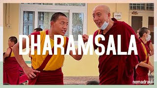 Dharamsala Tsuglagkhang Complex Dalai Lama temple  India  4K  nomadraul [upl. by Buskirk631]