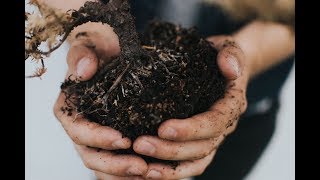 The Benefits of Humic Substances in Agriculture [upl. by Ahtnahc204]