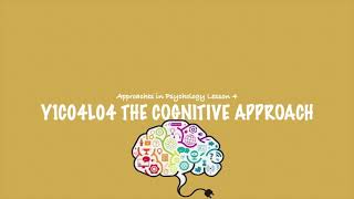 ALevel Psychology AQA The Cognitive Approach [upl. by Sucramal]