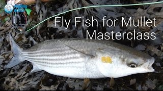 Part 2  Mullet Masterclass  UK Saltwater fly fishing [upl. by Engle363]