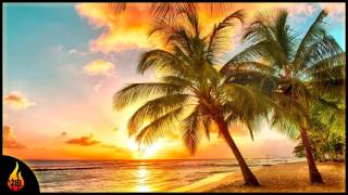 Island Reggae Music  Upbeat Tropics  Tropical Island Beach Music [upl. by Iren]