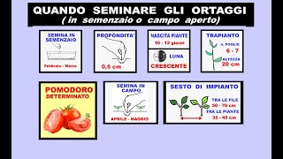 IL PERIODO DELLA SEMINA DEGLI ORTAGGI [upl. by Ettezel]